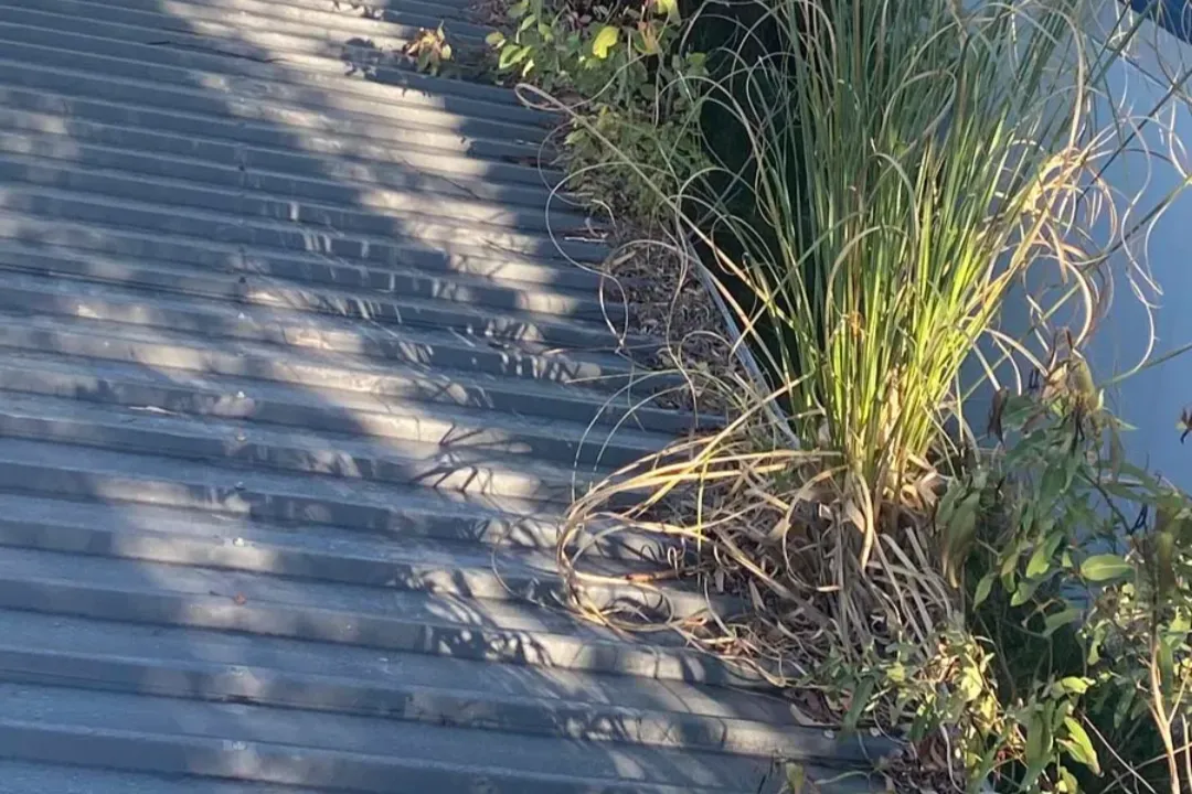 Gutter Cleaning Cessnock