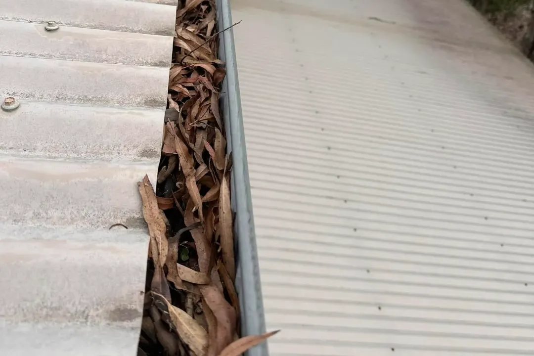 Gutter Cleaning Cessnock