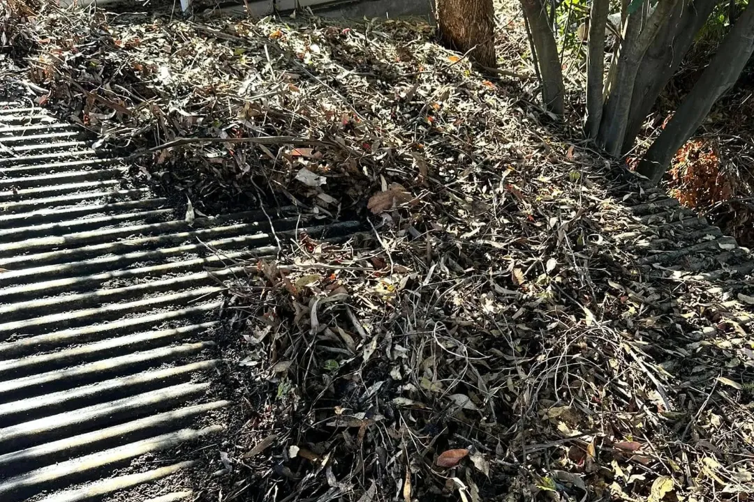 Gutter Cleaning Cessnock