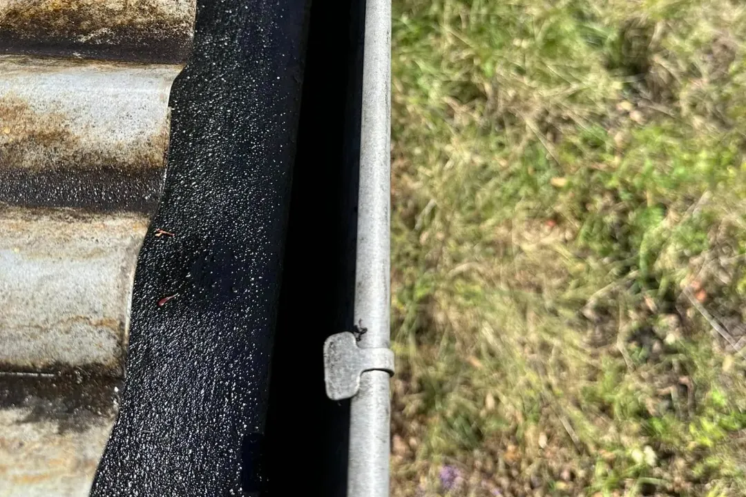 Gutter Cleaning Cessnock